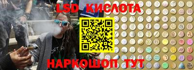 прущие крисы Новозыбков