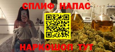 прущие крисы Новозыбков