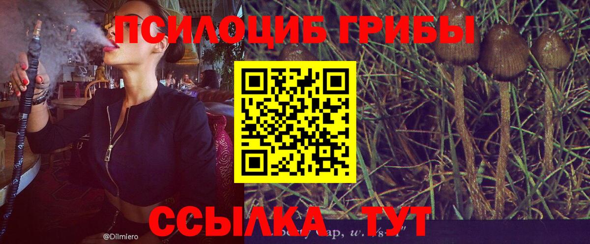 Галлюциногенные грибы MAGIC MUSHROOMS  Вход с VPN  Соликамск  Галлюциногенные грибы мицелий 